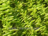 16" 3-9mm green branch shape natural loose coral beads