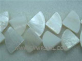 16" 8-12mm white sector loose shell strand