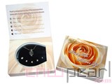 5pcs lucky gift sets with sterling silver chain & pendnat cage